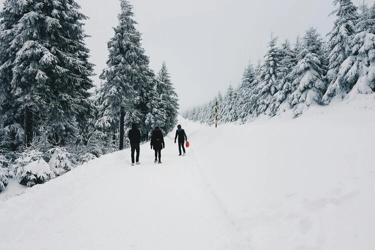 Skiregion Niederösterreich