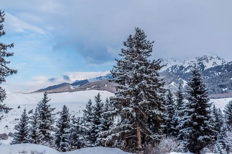 Skiregion Werdenfels